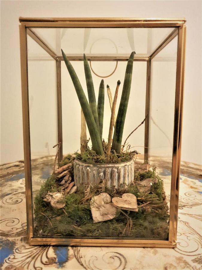 פראטו Castle Rooms מראה חיצוני תמונה